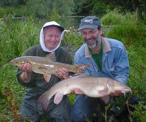 barbel12lb8oz-9378552